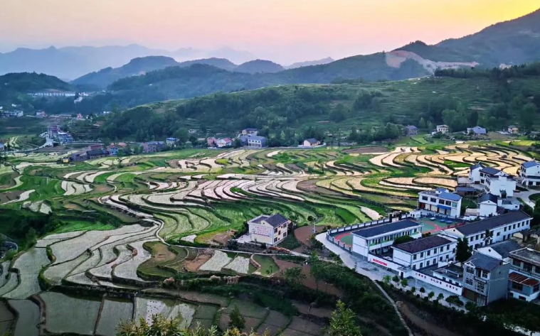 乡土里的“矛盾人”：新时代传统农民的多面心性