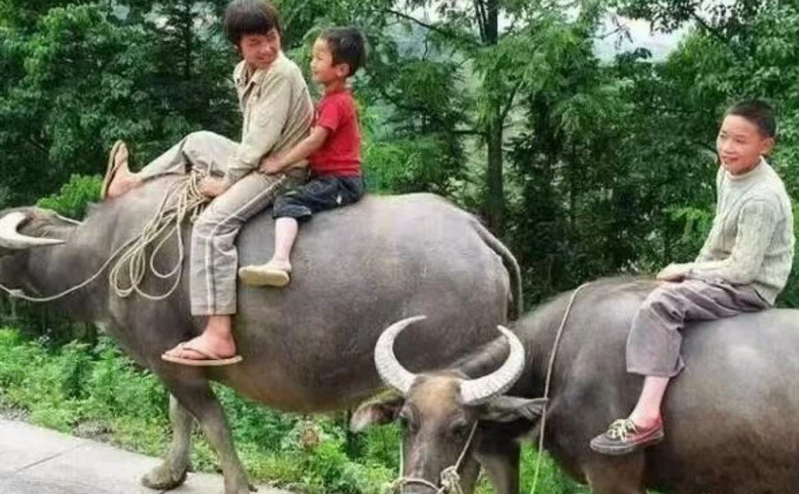 再苦再难再累也要结婚生子