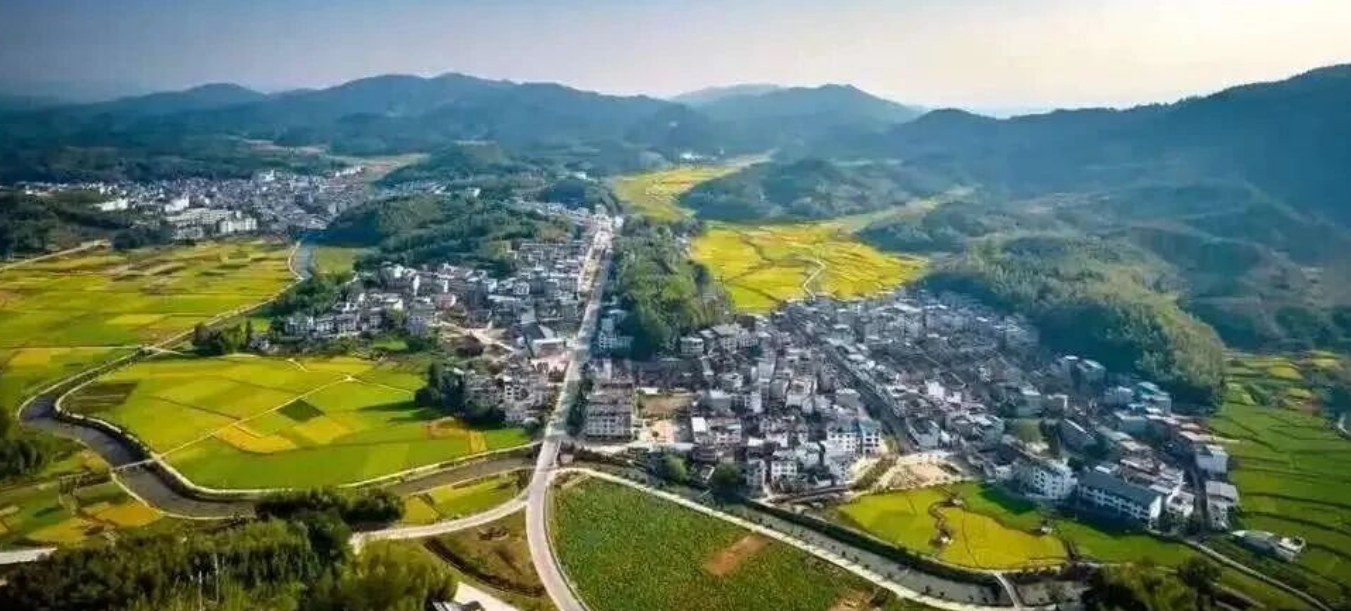 城市套路深，你是否愿意回农村？