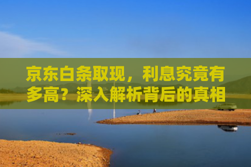 京东白条取现，利息究竟有多高？深入解析背后的真相 第1张